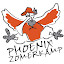 Phoenix Zomerkamp (Owner)