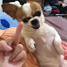 yo yo p