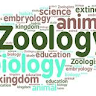 Zoology Class Profile