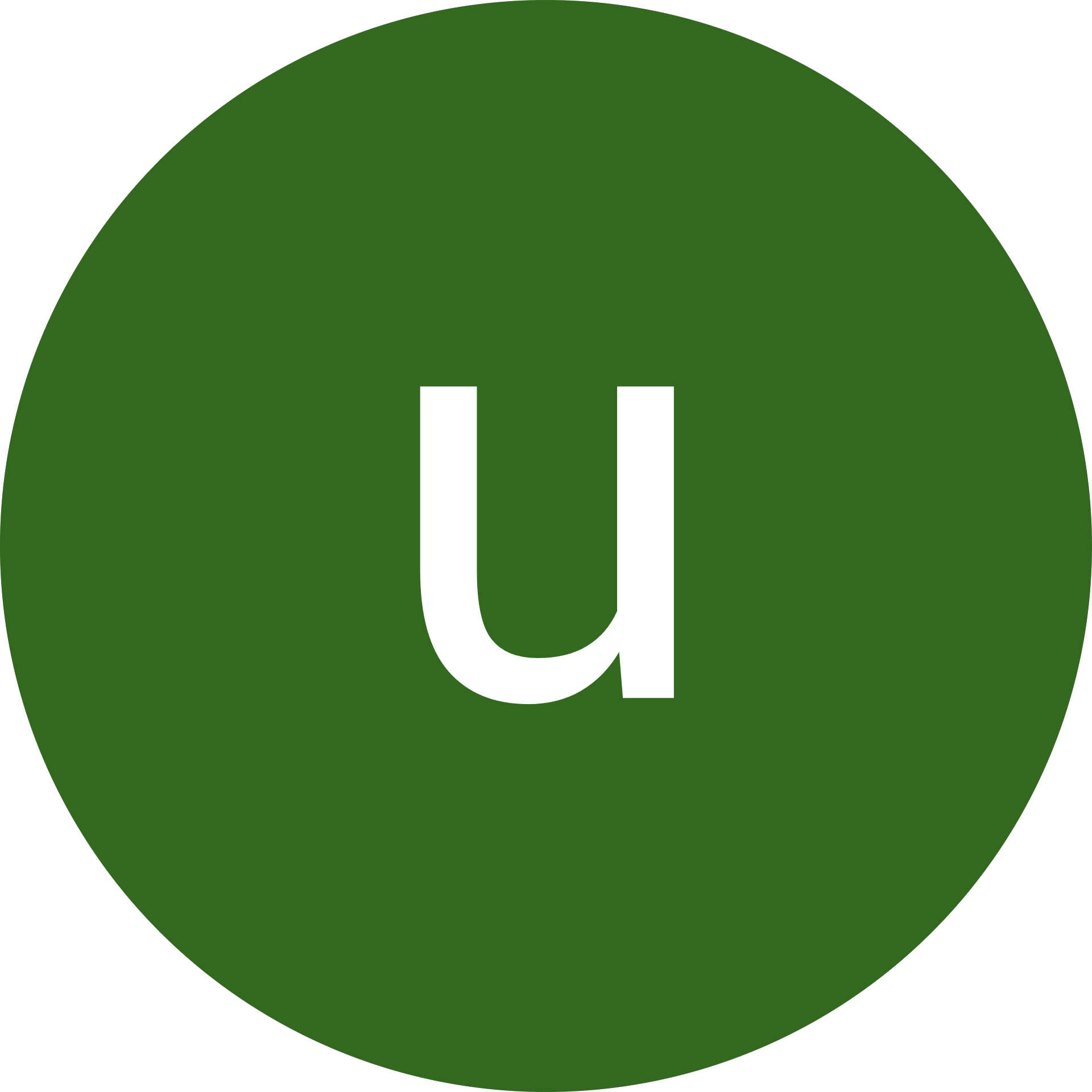 ugur bayram