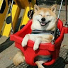 fengyiqidao264's Avatar