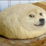 DanDanDoge