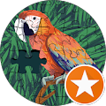 review Misdi