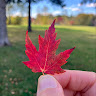 Contributor profile image