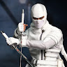 StormShadow