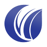 Writer: BSC Webdesign