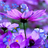 Kathy Cranford