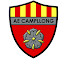 Associació Esportiva Campllong (Owner)