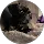 Community member