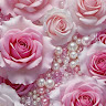 Aneesha Ep's profile picture