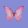 user_7jt75cii14ybthn4 member profile picture