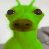 flashadamalbrou