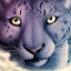 Snow leopard Gaming