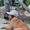 Foto del escritor: Geobicom Rios