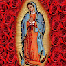 user_8tzios12jub5r83c member profile picture