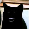 user_g5e4ishpgi8vj93l member profile picture