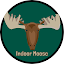 Indoor Moose