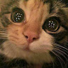 user_6vpud27atmh5iq8w member profile picture