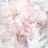 user_p6wkedxmo2kd7atq member profile picture