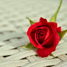Created by