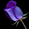 Created by