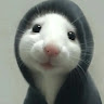 user_dvgzil1ty5culj8h member profile picture