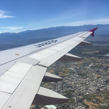 東尼的頭像