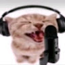 ranggaaa
