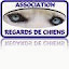 REGARDS DE CHIENS Club d'éducation canine (Owner)