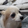 小森乾史