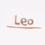 leo100312 lee