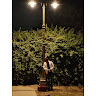 Utkarsh Saxena