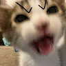 Naura