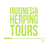 Writer: Indonesia Herping Tours