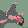 Dracorex