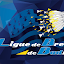 Ligue de Bretagne de Badminton (Owner)