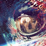 user-avatar