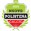 Nuovo Polistena Calcio (Owner)