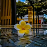 profile-pic