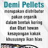 demi pelet