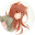 Ruby's user avatar