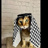 farismohamad