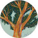 reviewer-profile-image
