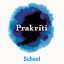 Prakriti School (Owner)