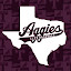 TAMU Club Baseball (Owner)