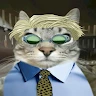 user_iz2bvy6jf9ib0mqz member profile picture