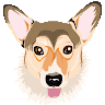 aspernari's Avatar