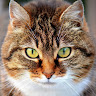 View KitKat55's Profile