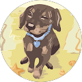 Avatar de Sabine.h