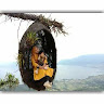 Created by